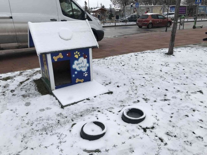 Kar Yağışı Onları Da Çok Etkiledi