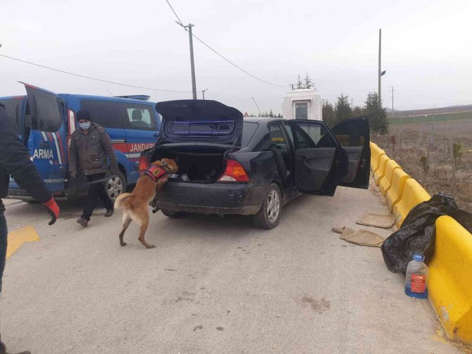 Hırsızlıktan Suçundan Aranan Şahıs Uyuşturucu İle Yakalandı