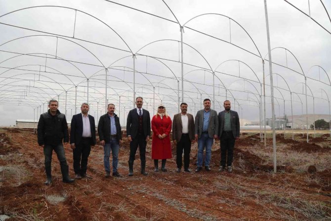Eyyübiye’de İstihdam Projeleri Başladı