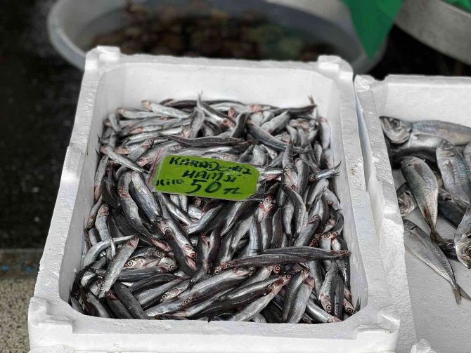 Fırtına Balık Fiyatlarını Yükseltti