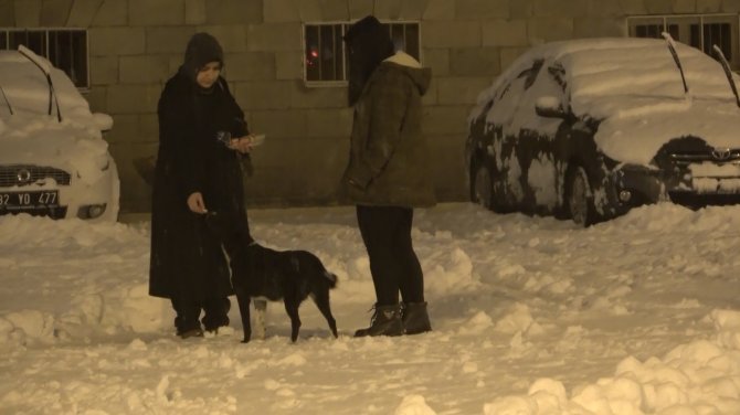 Isparta’da Kar Yağışı Etkili Oldu