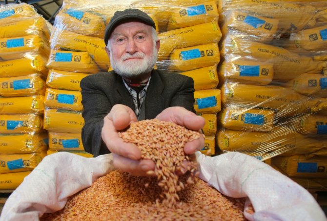 2 Bin Çiftçiye Yem Bitkisi Tohumu Ve Gübre Desteği