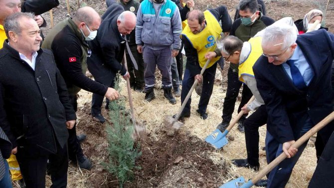 Osmaniye’de Güney Kore-türkiye Dostluk Ormanı Kuruldu