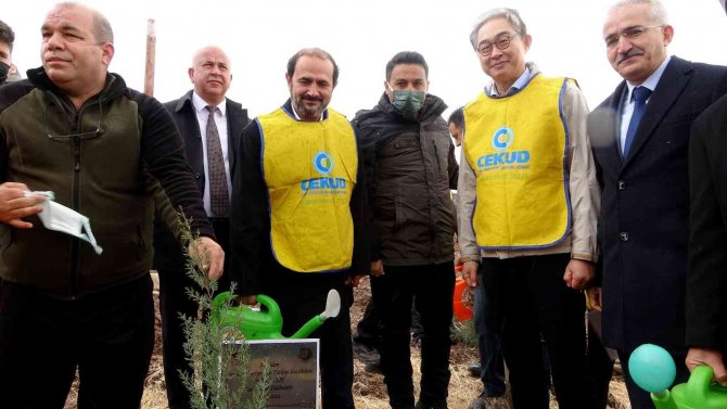 Osmaniye’de Güney Kore-türkiye Dostluk Ormanı Kuruldu
