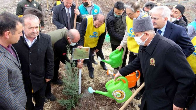 Osmaniye’de Güney Kore-türkiye Dostluk Ormanı Kuruldu