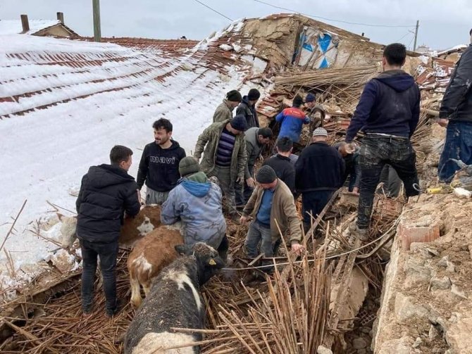 Kütahya’da Çöken Ahırın Altında Kalan 15 Büyükbaş Hayvanı Köylüler Kurtardı