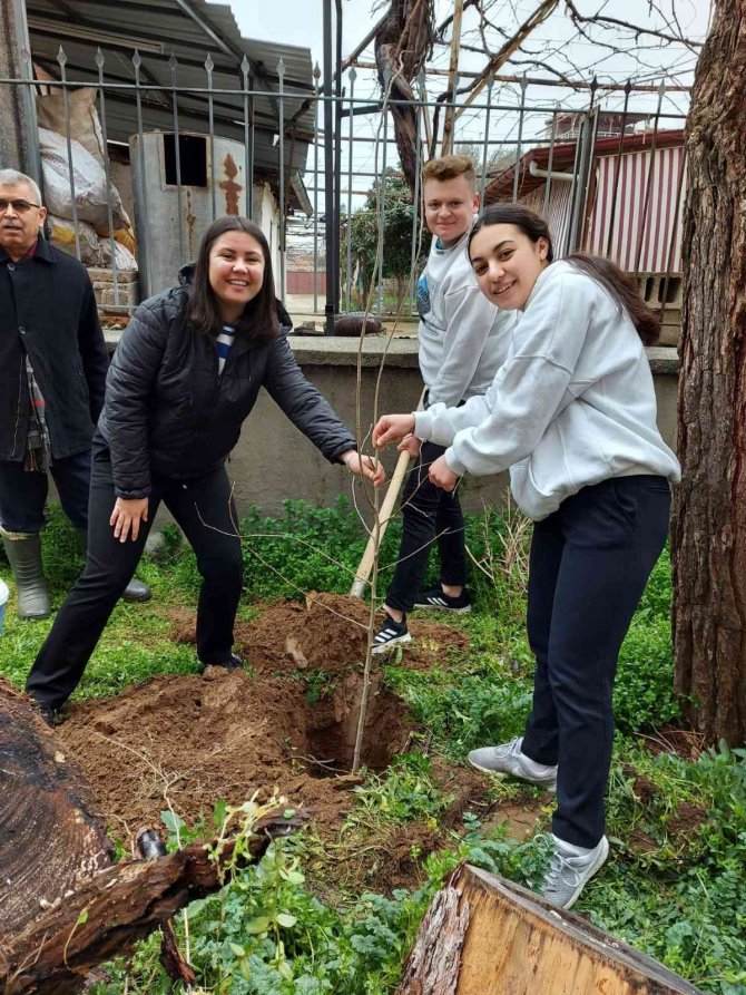 Kardeş Okula Fidan Diktiler