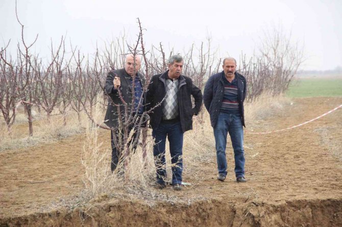 Karaman’da Oluşan Dev Obruk, Elma Ağaçlarını Yuttu