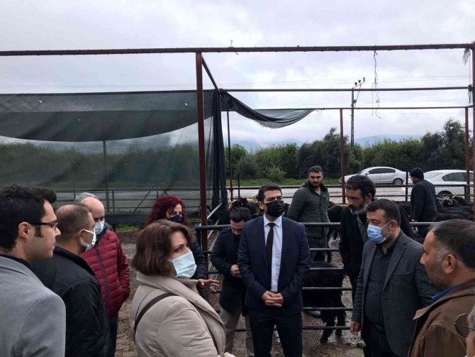 Kozan’a Modern Canlı Hayvan Pazarı