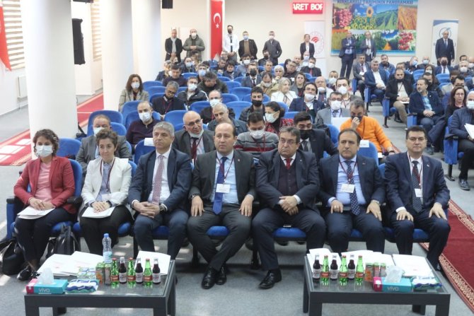 Trakya’da Arilik Çalışmaları