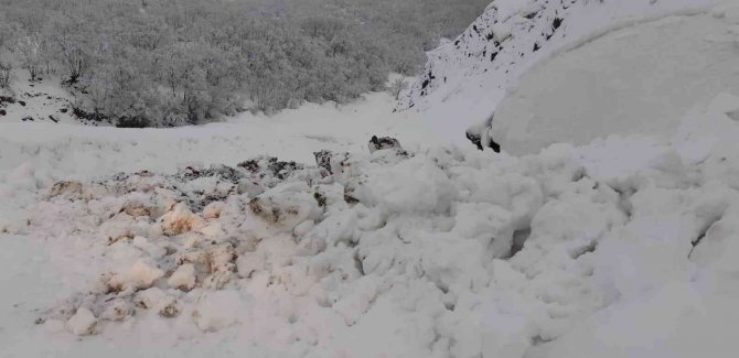 Tunceli’de Yoğun Kar Yağışı Nedeniyle Zincirsiz Tır Geçişine İzin Verilmiyor