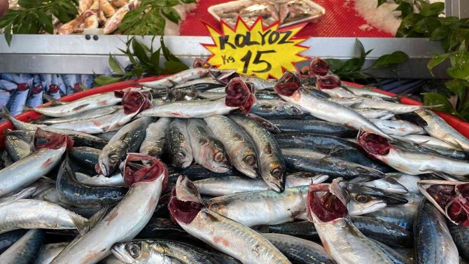 Kilosu 15 Lira, Kapış Kapış Satılıyor