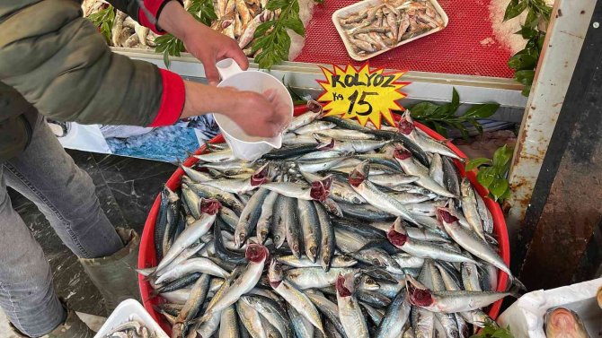 Kilosu 15 Lira, Kapış Kapış Satılıyor