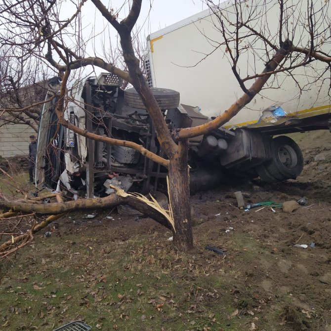Yoldan Çıkan Tır Meyve Bahçesine Girdi