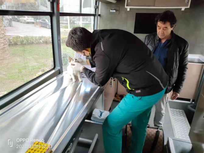 Vetbüs İle Şifa, Can Dostların Ayağına Gidiyor