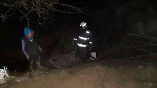 Çamura Saplanan İneği İtfaiye Ekipleri Kurtardı