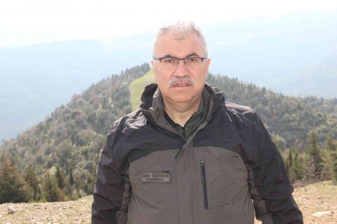 Küle Dönen Yüzlerce Hektarlık Orman Yeniden Canlandı