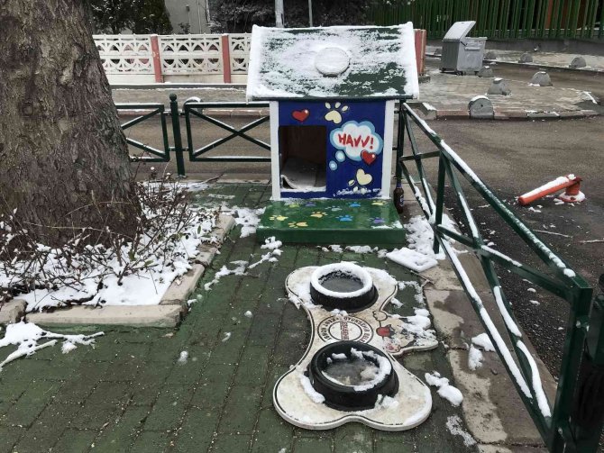 Kar Yağışı Onları Da Çok Etkiledi