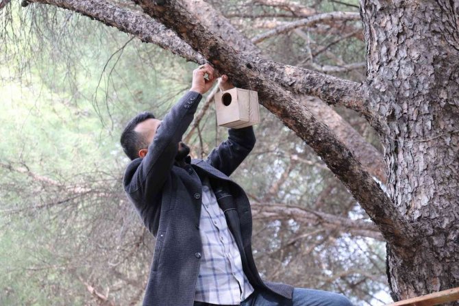 Süreyya Tabiat Parkına Kuş Yuvaları Yerleştirildi