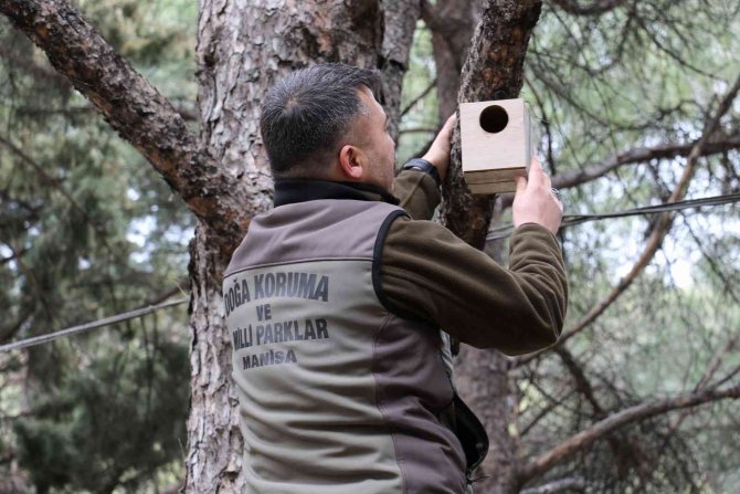 Süreyya Tabiat Parkına Kuş Yuvaları Yerleştirildi