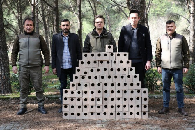 Süreyya Tabiat Parkına Kuş Yuvaları Yerleştirildi