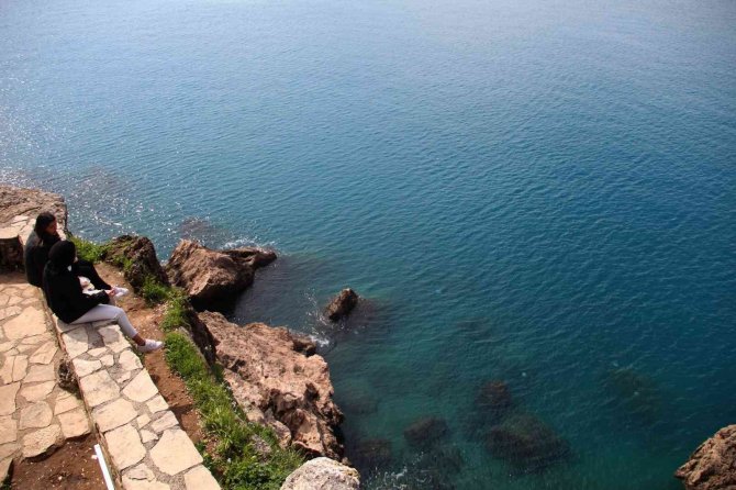 Antalya’da Başıboş Denizanası İstilası
