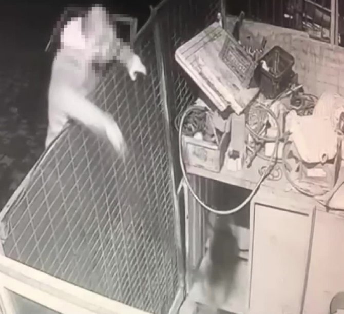 Köpeğe Önce Ateş Etti, Sonra Değnek Fırlatarak Eziyet Etti