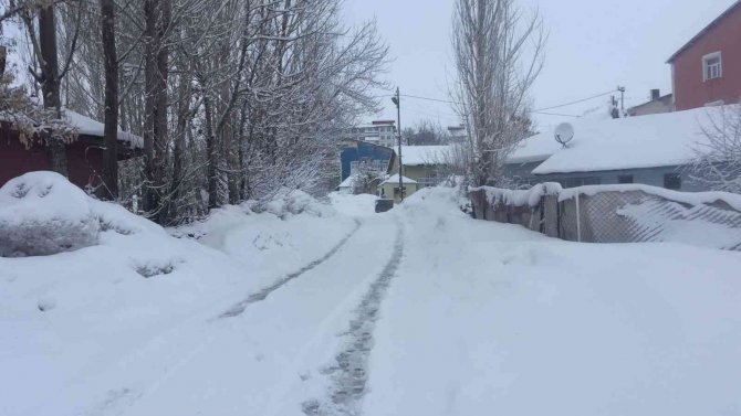 Karlıova’da Kar Yağışı