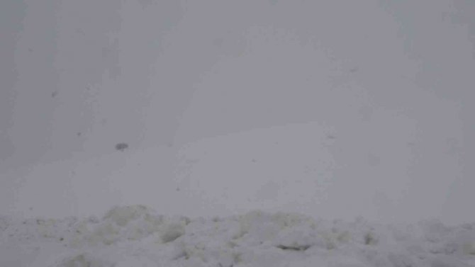 Tatvan Yoğun Kar Yağışı Altında