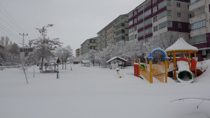 Bitlis’te 207 Köy Yolu Ulaşıma Kapandı