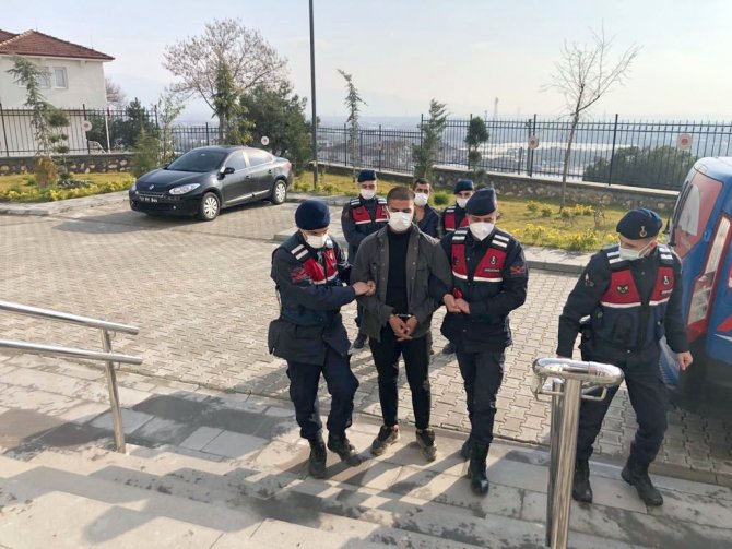 Bursa’da 4 Kamyonet Zeytin Fidanını Çaldılar, Jandarmadan Kaçamadılar