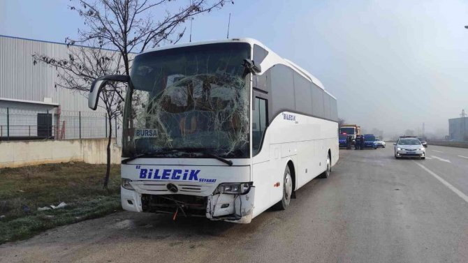 İ̇şçi Servisi Sis Sebebiyle Kamyona Çarptı