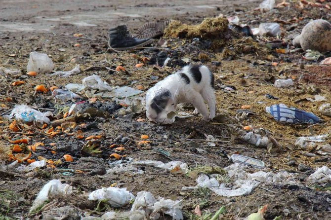 İ̇lçe Belediyesi Köydeki Çöpleri Toplamak İçin ‘Davetiye’ Bekliyor