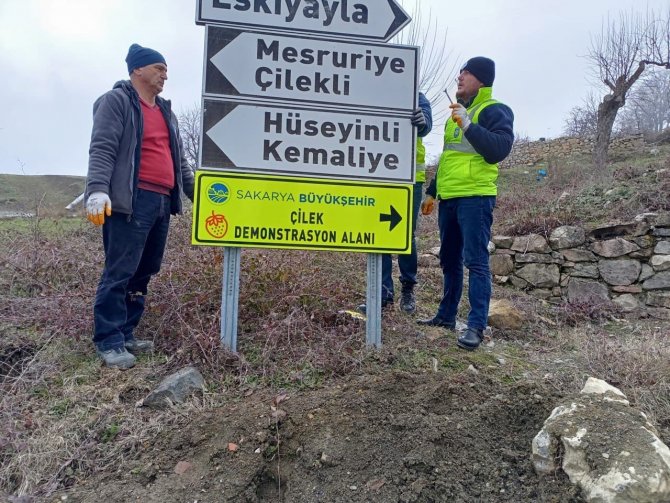 Sakarya’da Güzergah Ve Yön Gösteren Tabelalar Yenileniyor
