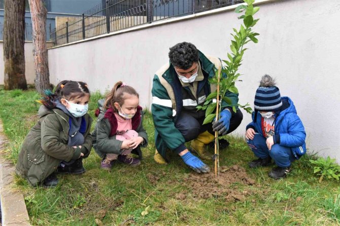 Altınordu’da Fidanlar Toprakla Buluşturuluyor