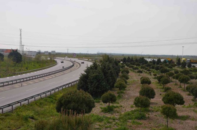 2022 Arsaya Yatırım Yılı Olacak