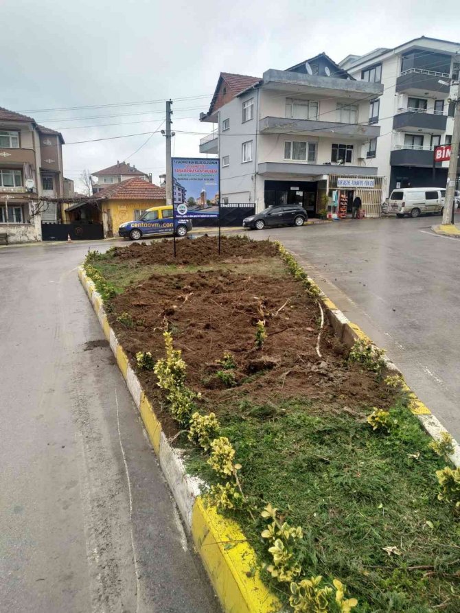 Yalova Taşköprü’de Saat Kulesi İçin Ağaç Kesilmesine Tepki
