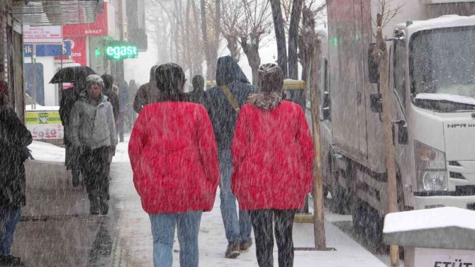 Van’da Yoğun Kar Yağışı