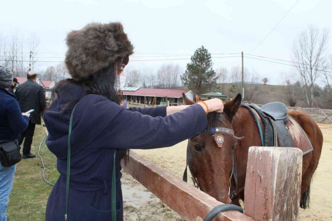 Seyahat Acenteleri Kastamonu’daki At Çiftliklerine Hayran Kaldı