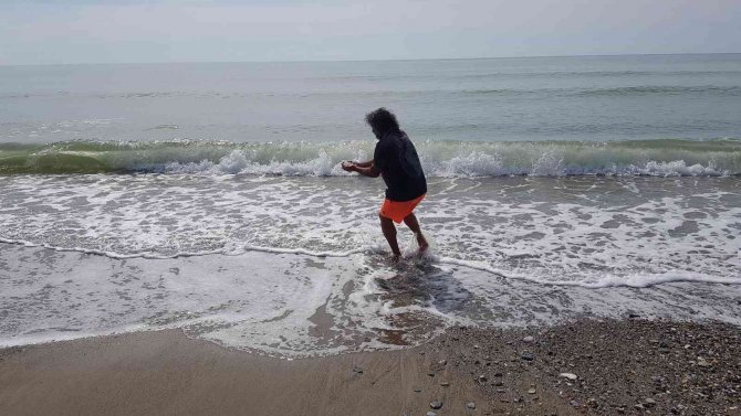 Alanya’da Binlerce Canlı Salyangoz Kıyıya Vurdu