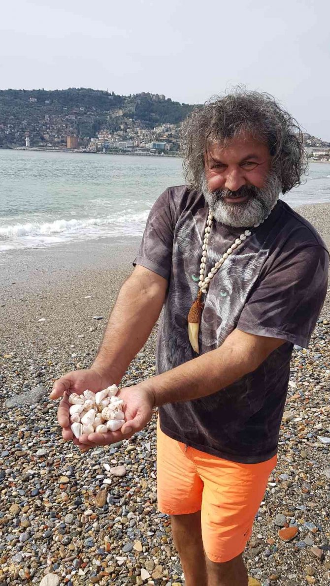 Alanya’da Binlerce Canlı Salyangoz Kıyıya Vurdu