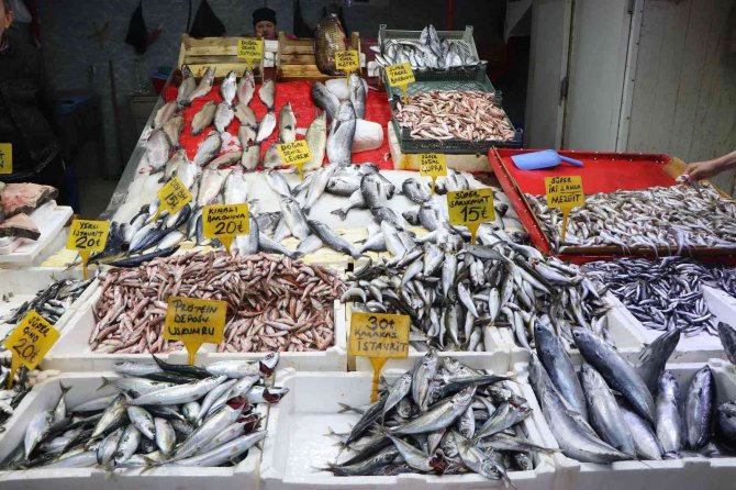 Balık Tezgâhlarında En Çok Rağbeti Hamsi, İstavrit Ve Mezgit Görüyor