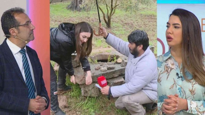 Canlı Yayında Şok Suçlamalar