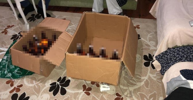 İ̇stanbul Merkezli 3 İlde Tefeci Operasyonu: 8 Şüpheli Yakalandı