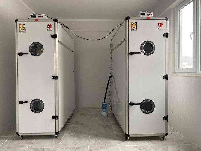 Damızlık Kazlardan Elde Edilen Yumurtalar Kuluçka Makinelerine Gönderilmeye Başladı