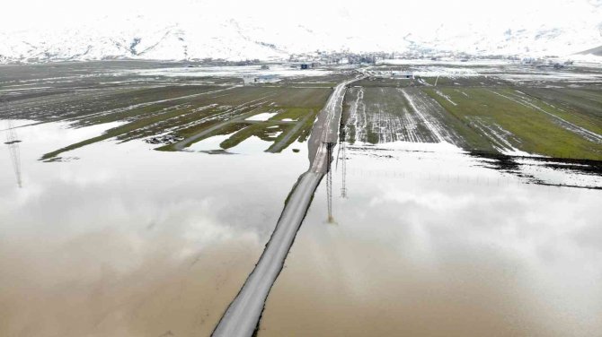 Muş Ovasındaki Bazı Tarım Arazileri Ve Hayvan Çiftlikleri Su Altında Kaldı
