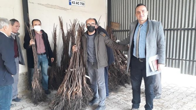 Simav’da Çiftçilere 4 Bin 800 Adet Ceviz Fidanı Dağıtıldı
