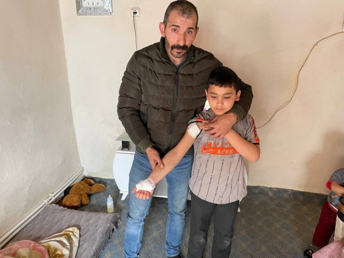 Okula Giderken İki Köpeğin Saldırısına Uğradı
