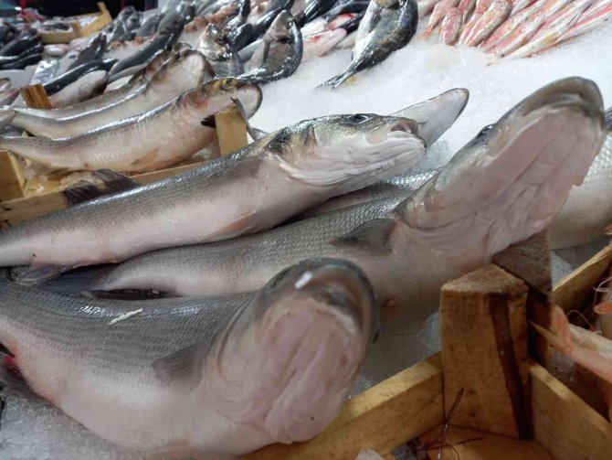 Fırtına Ve Soğuklar Balık Fiyatlarını Etkiledi