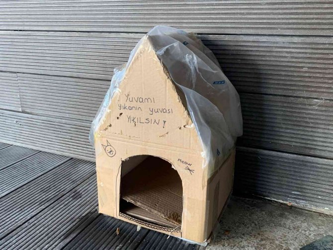 Kedi Yuvasını Tekrar Yıkmasınlar Diye Bu Çözümü Buldular